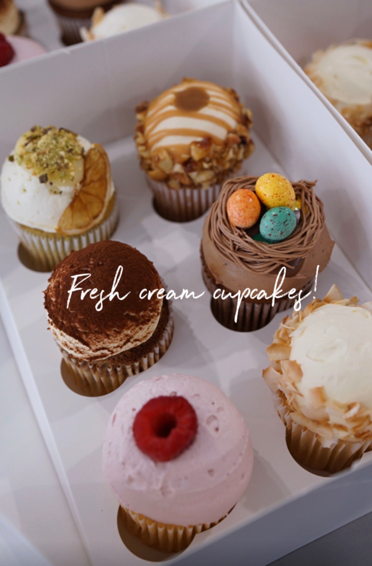 Assorted fresh cream cupcakes